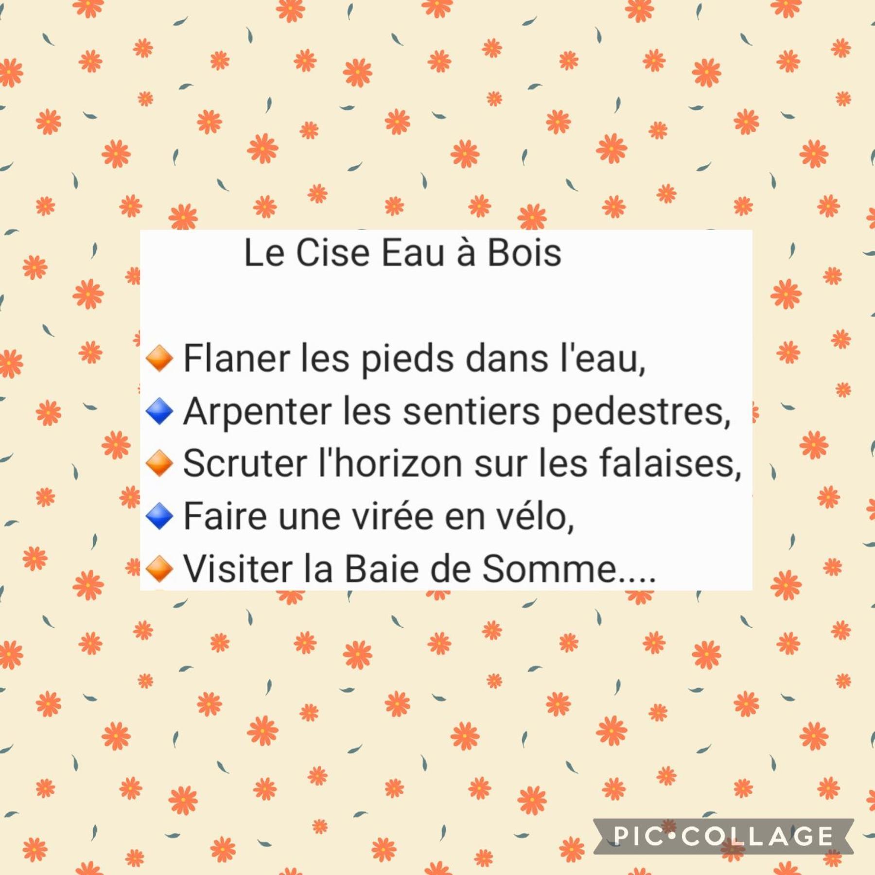 Le Bois de Cise Le Cise Eau A Bois 아파트 객실 사진